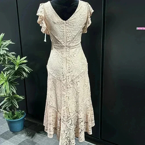 Just Taylor V-neck flutter sleeve lace,Hi/low ruffle,zip back, lined,zipper back - Picture 3 of 16